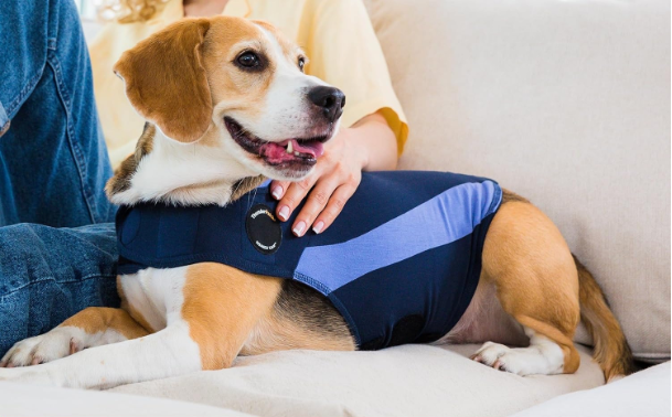 ThunderShirt for Dogs