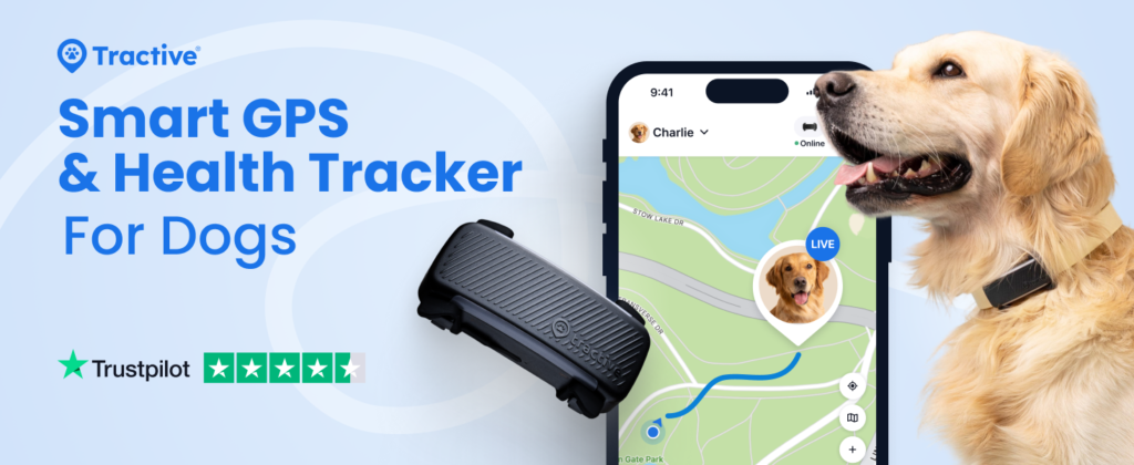 Dog GPS Tracker