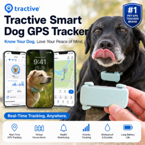Read more about the article Tractive Smart Dog GPS Tracker Review: Is This the Best GPS Collar for Dogs in 2026?