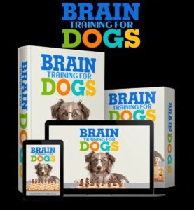 Read more about the article How to Stop Excessive Dog Barking Using Brain Training Games