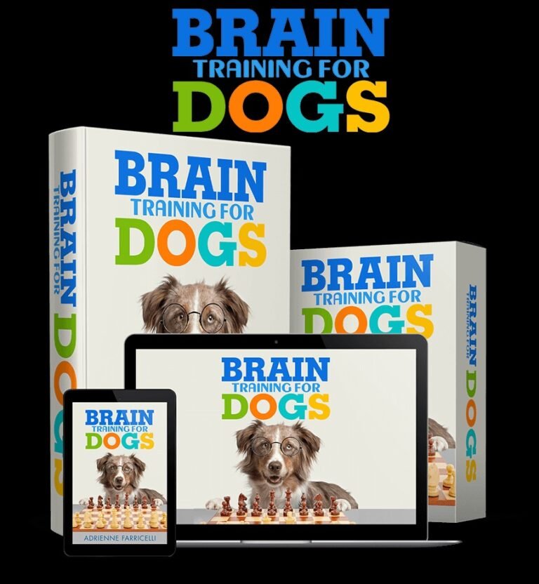 How to Stop Excessive Dog Barking