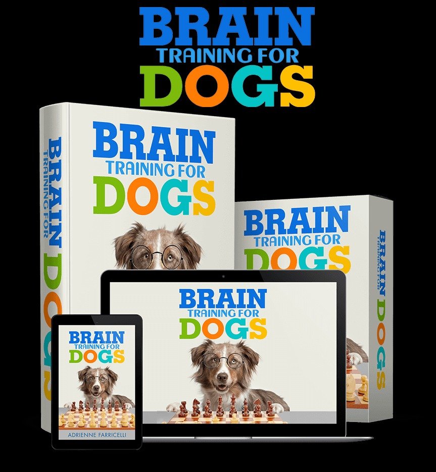 You are currently viewing How to Stop Excessive Dog Barking Using Brain Training Games