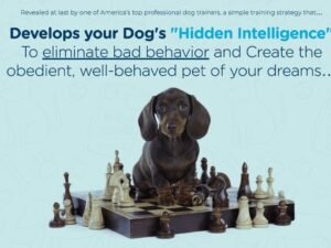 Read more about the article How to Train a Dog to Stop Barking Excessively