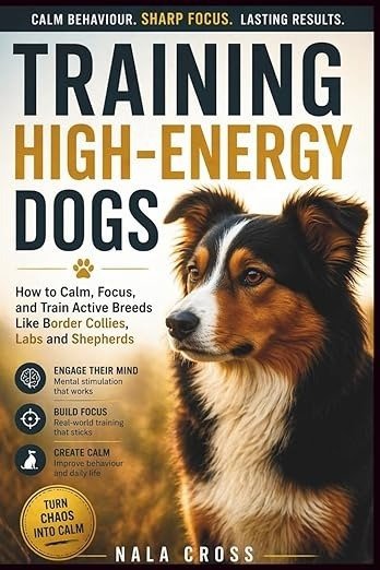 Best Dog Training Books